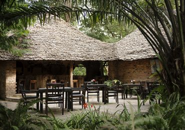 Rivertrees-Lodge-Tanzania-Africa-Bar_500x350