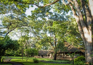 Rivertrees-Lodge-Tanzania-Africa-Grounds-1_500x350