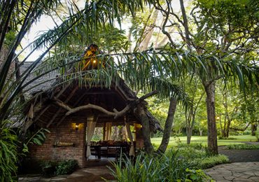 Rivertrees-Lodge-Tanzania-Africa-Grounds-2_500x350