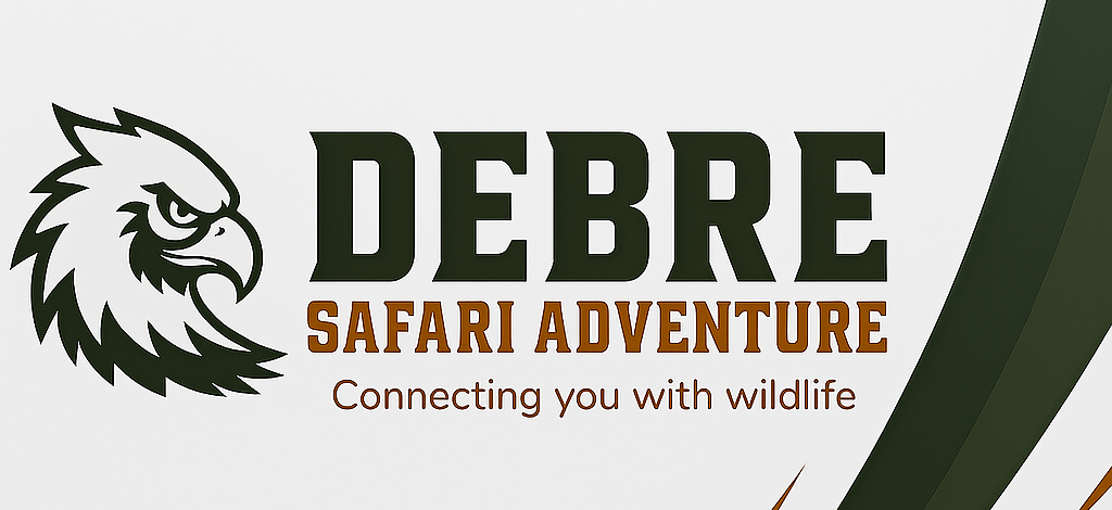 DEBRE Safari Adventure
