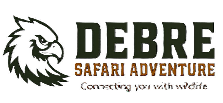 DEBRE Safari Adventure
